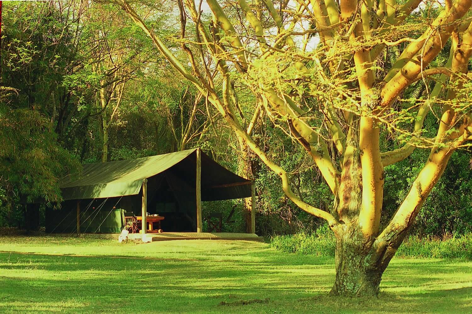 Siana Springs Camp