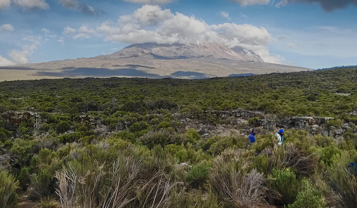 Kilimanjaro N. Park