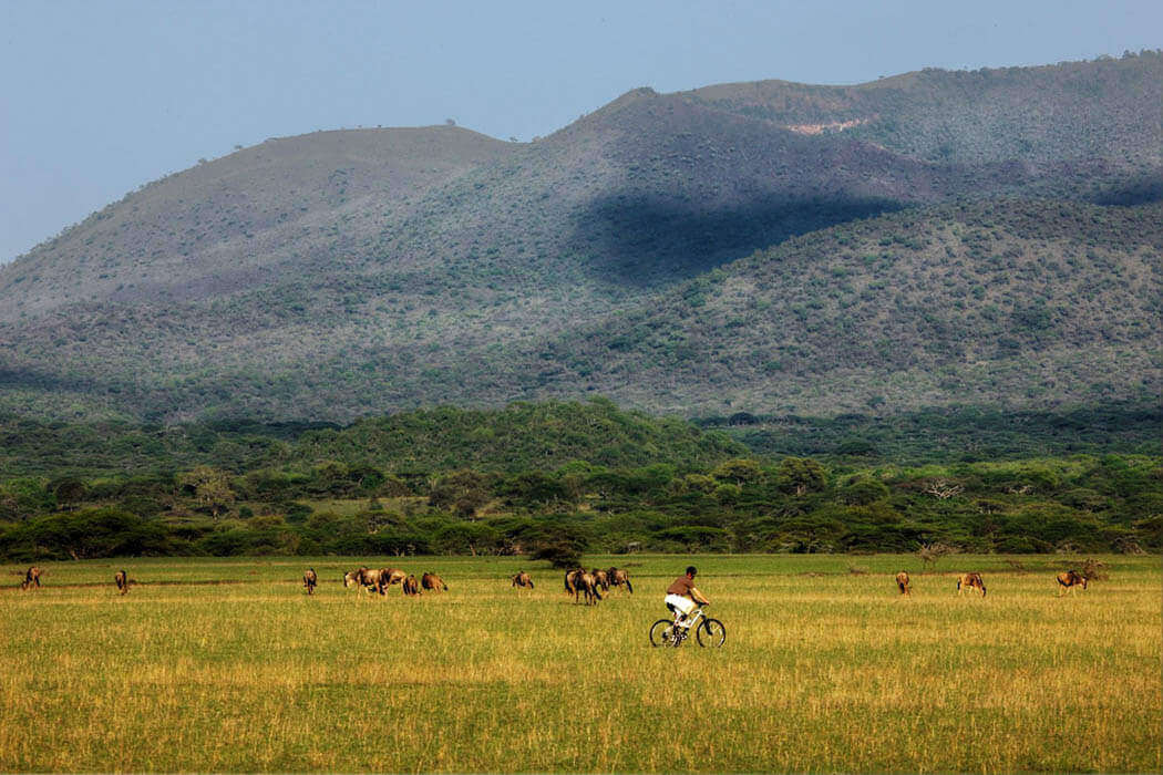 3 Days | Special Taita Hills and Tsavo East Safari in Kenya