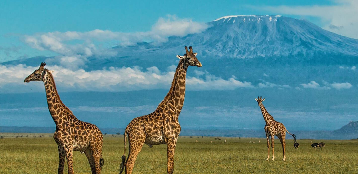6 Days | Heart of Africa Safari Kenya