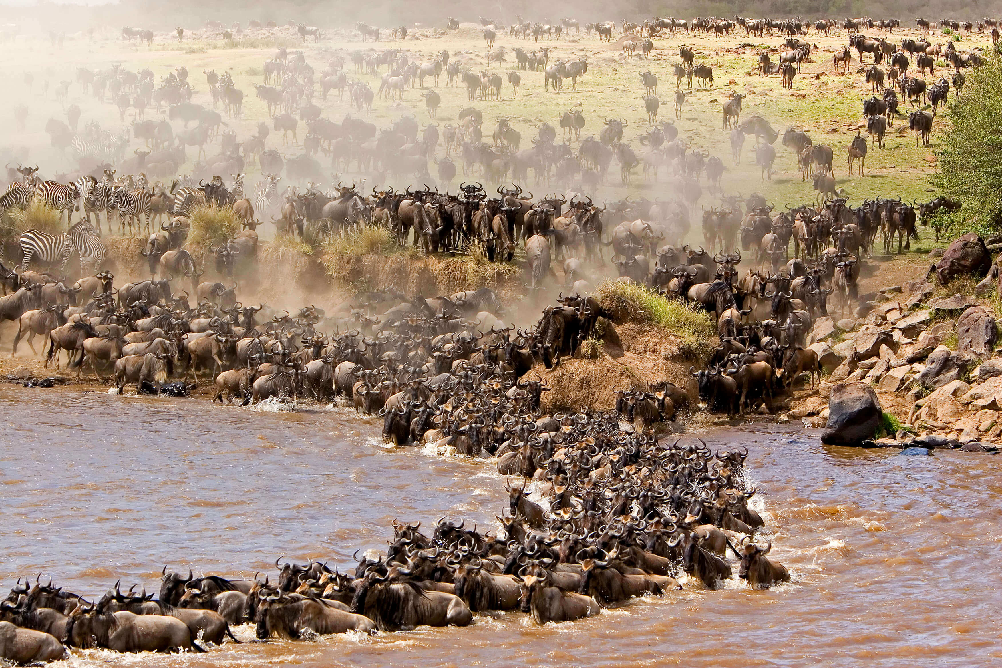 Adventure Safari in Masai Mara Kenya
