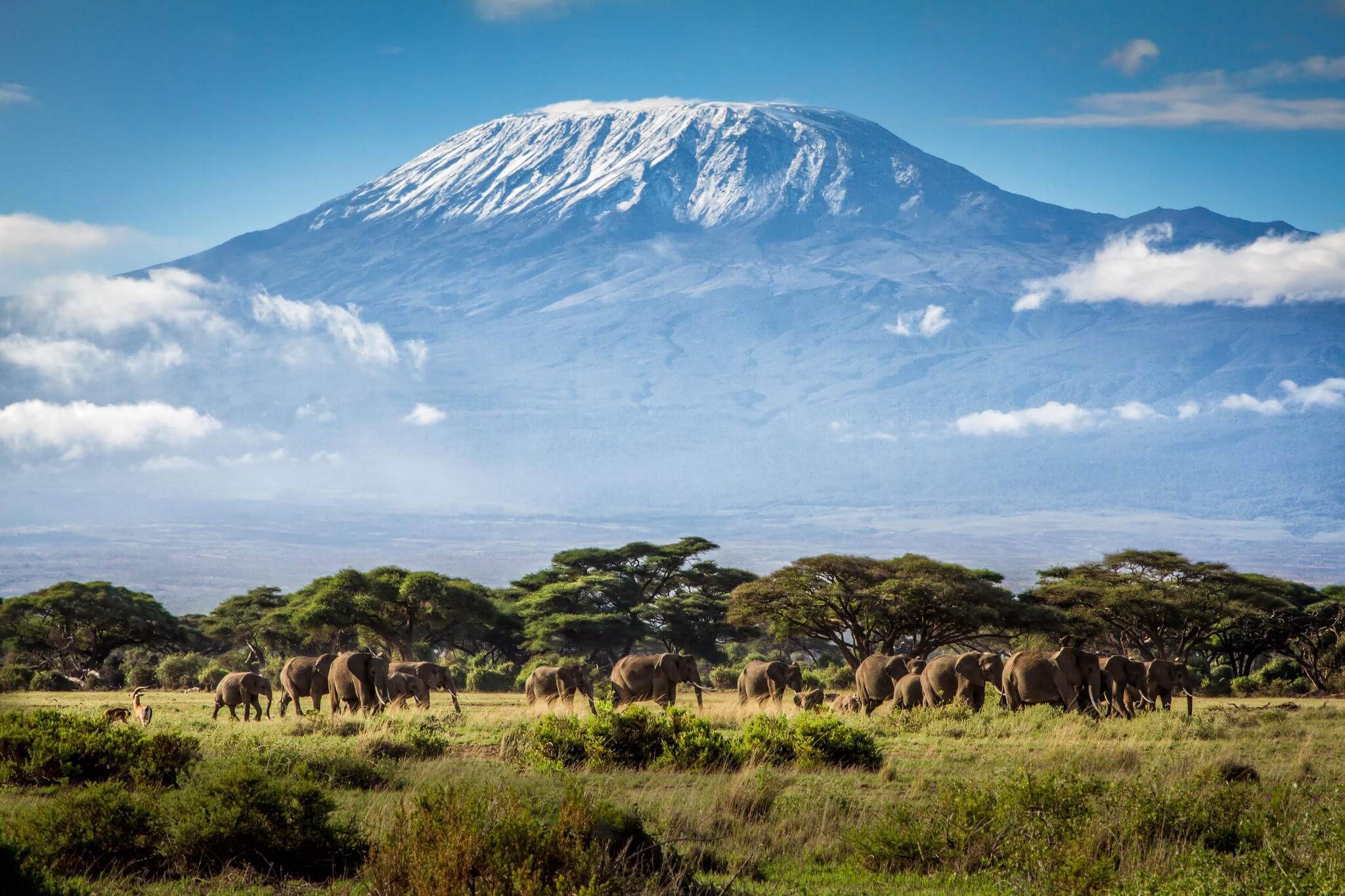 4 Days | Amboseli and Tsavo Safari in Kenya