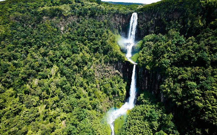 Waterfalls Tour and Safari in Aberdare National Park Kenya