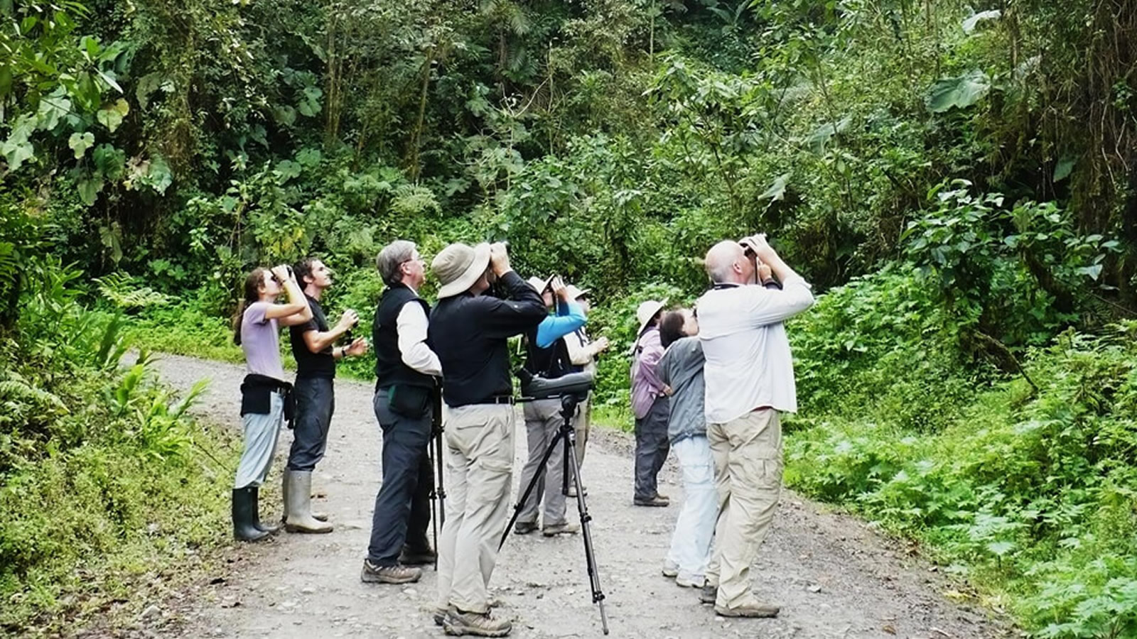 Birding Safaris