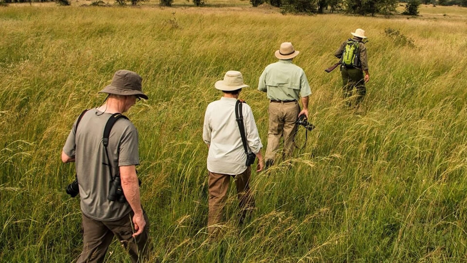 Hiking Safaris