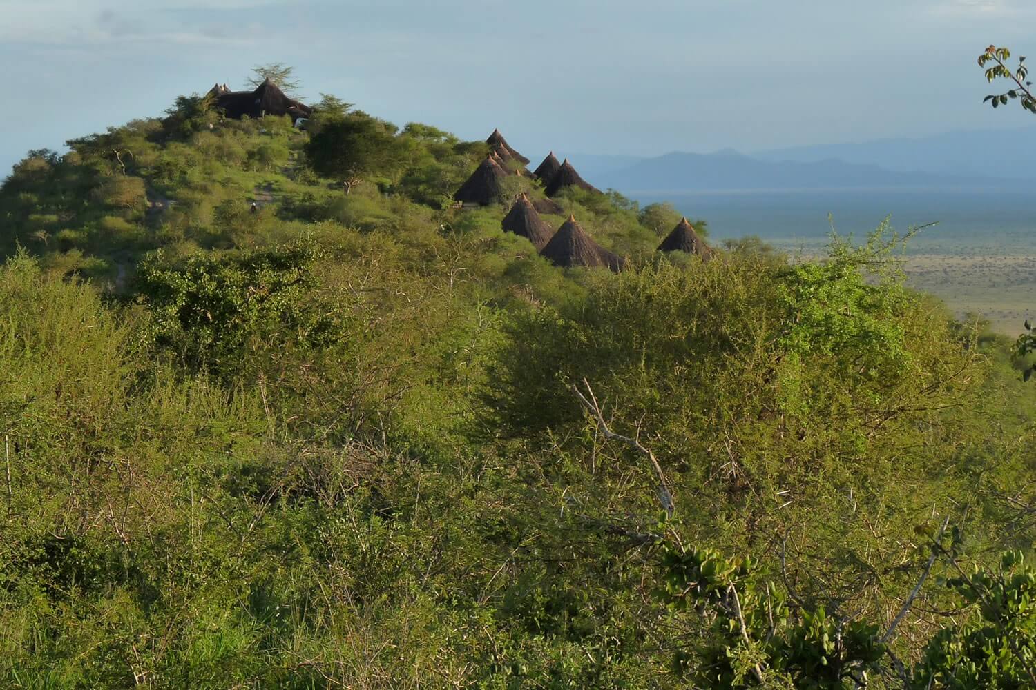 Lions Bluff