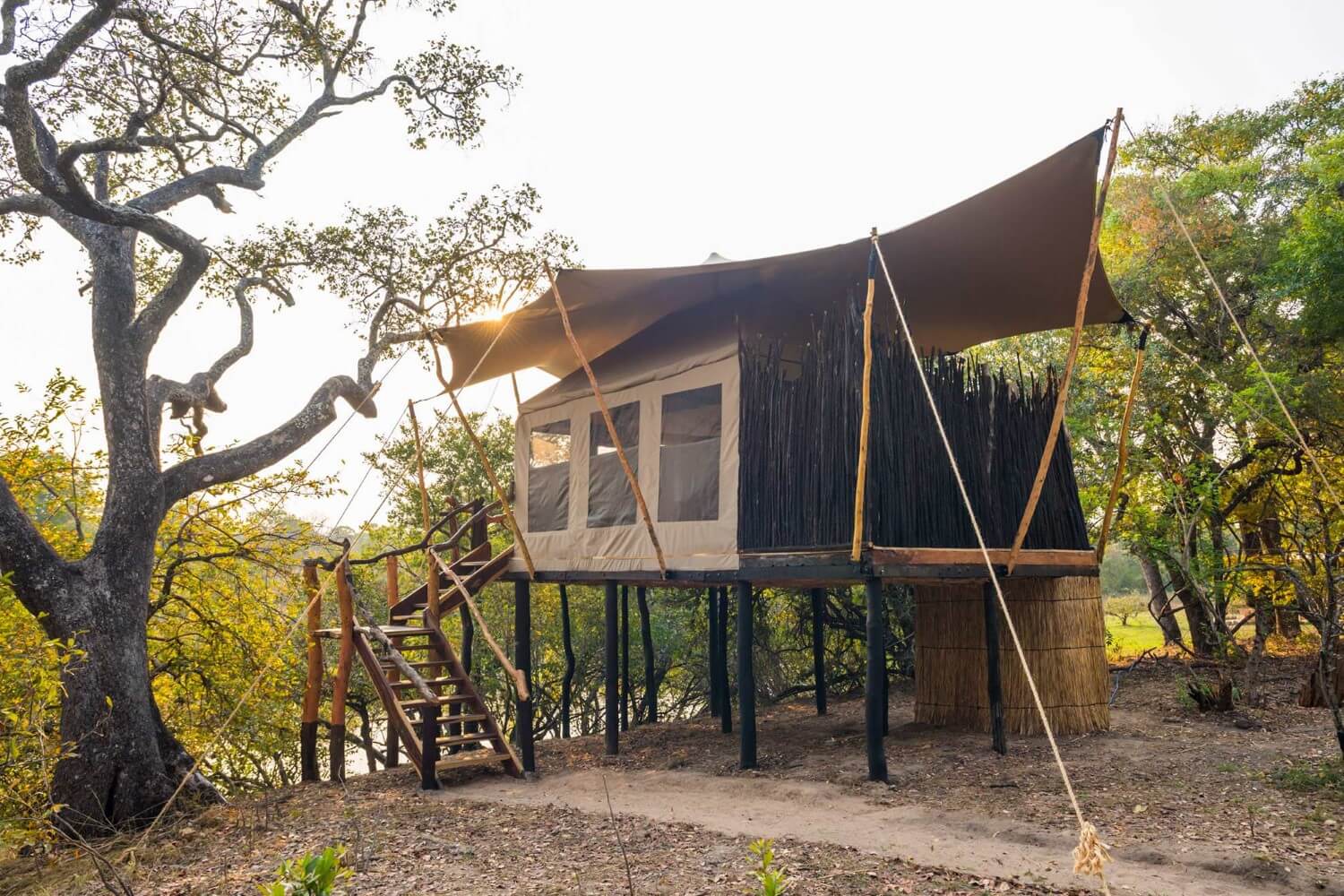 Fig Tree Camp