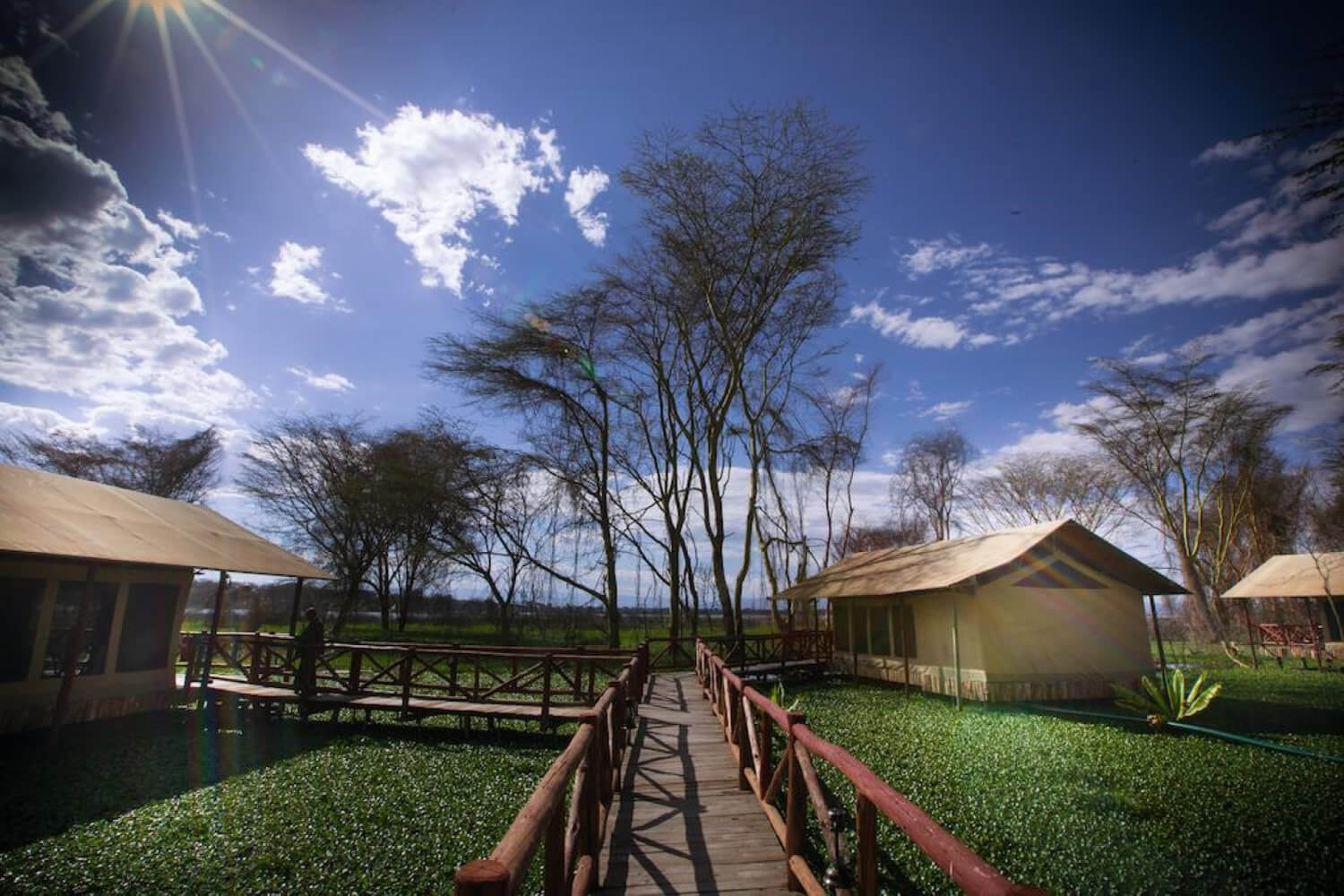 Kiboko Luxury Camp