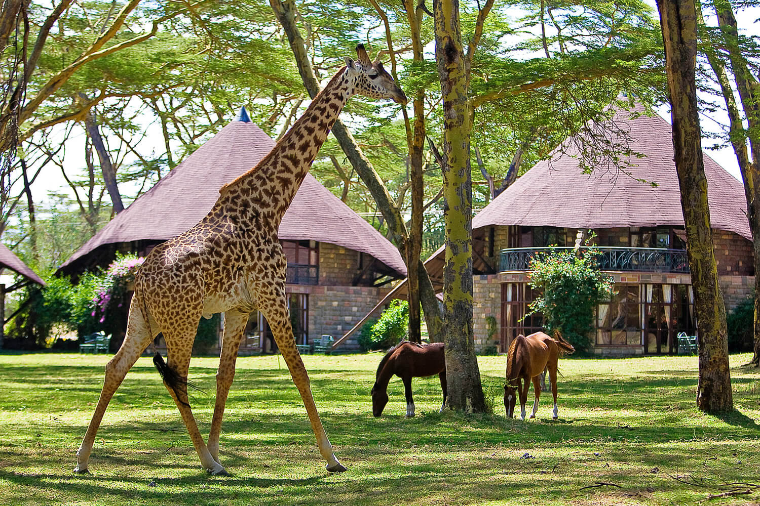 Lake Naivasha Sopa Lodge