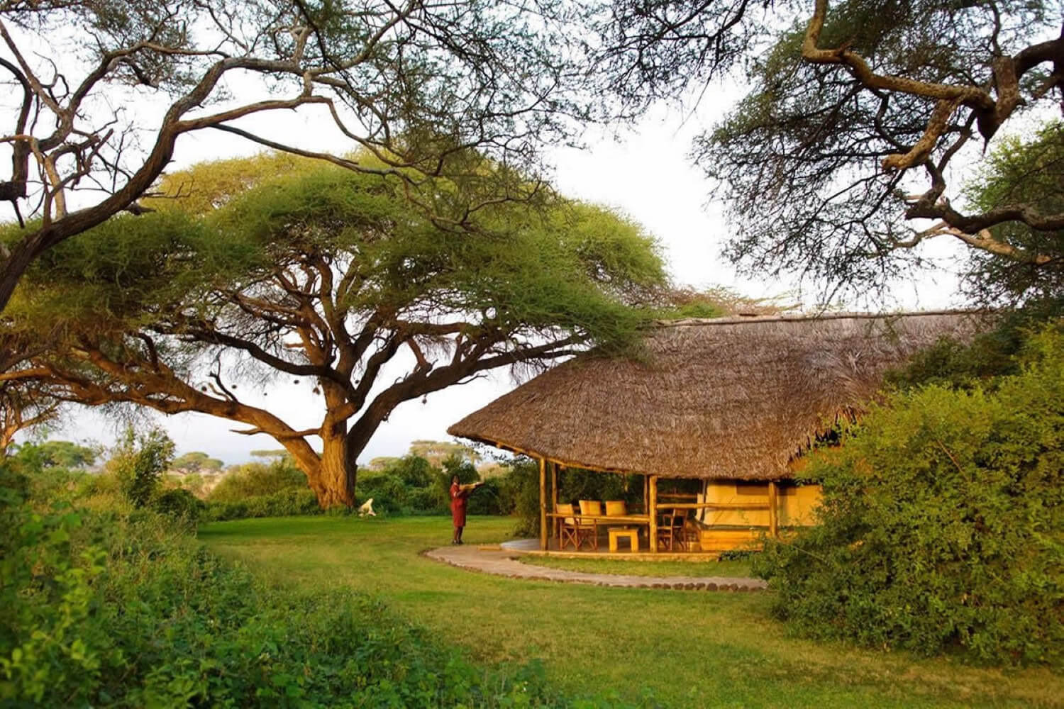 Tortillis Tented Camp