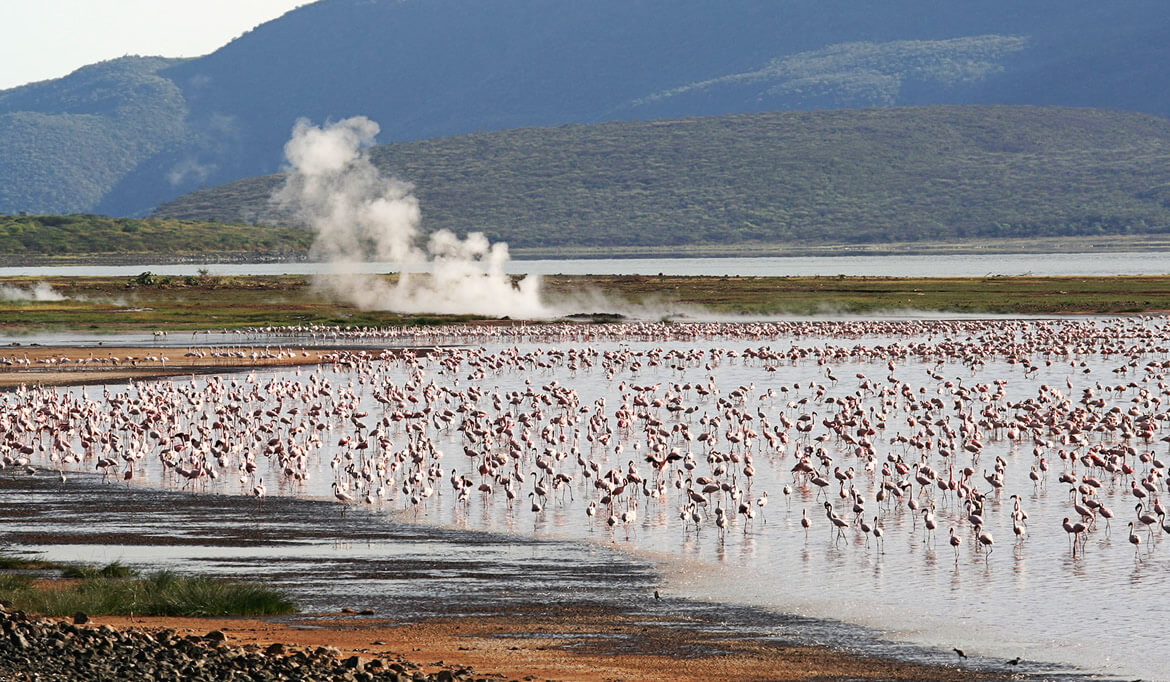 Lake Bogoria N. Park