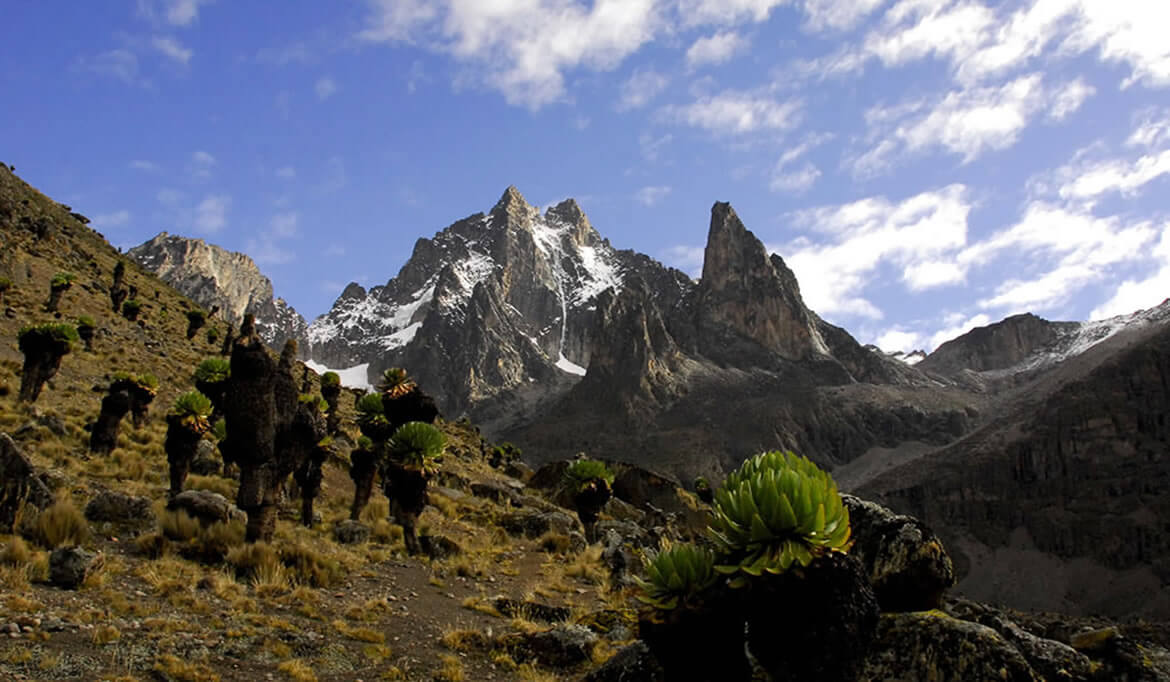 Mt Kenya N. Park