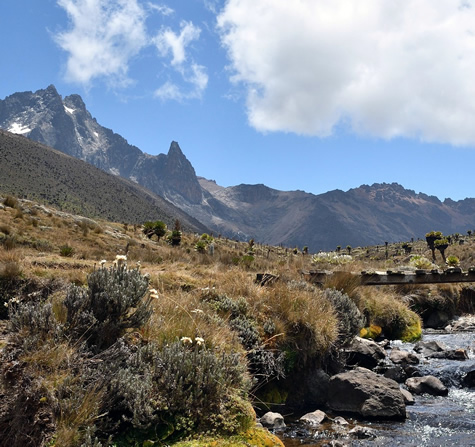 Trekking in Mount Kenya