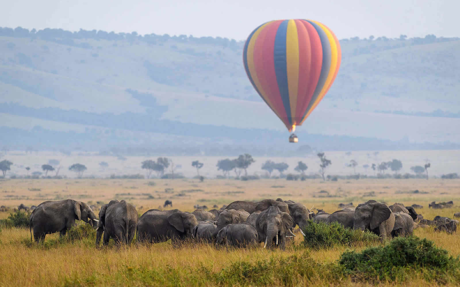 Flying Safari to Masai Mara Kenya