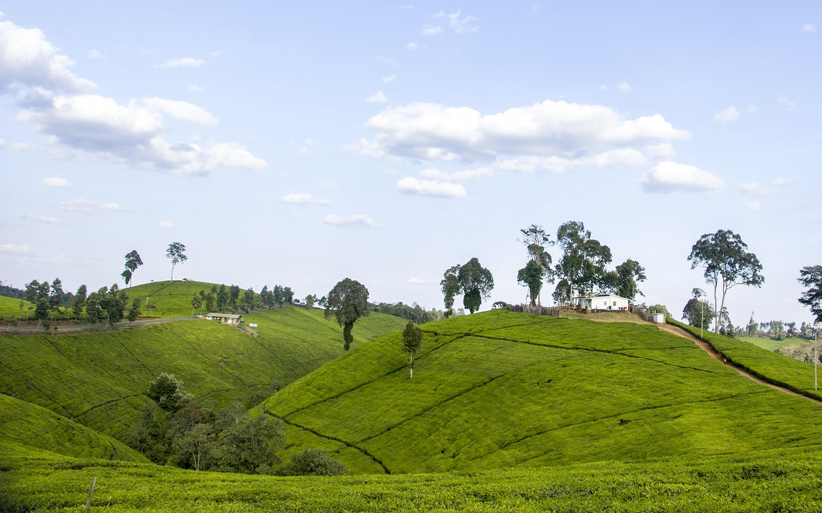 Central Highlands of Kenya Safari