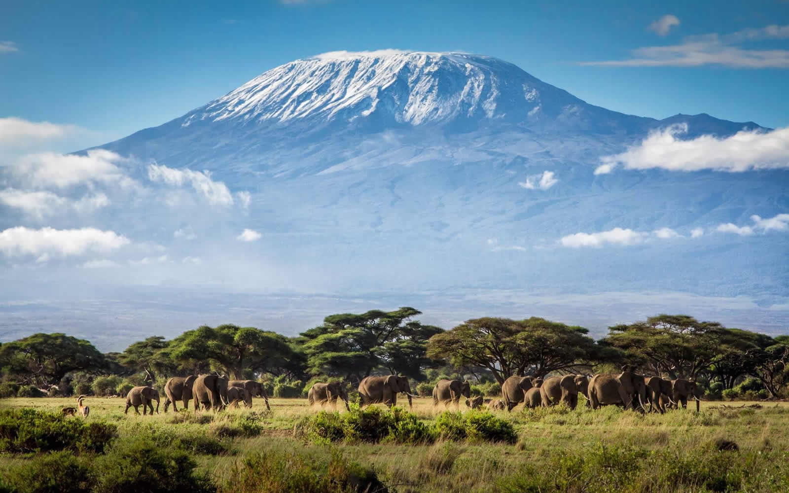 Amboseli and Tsavo Safari in Kenya