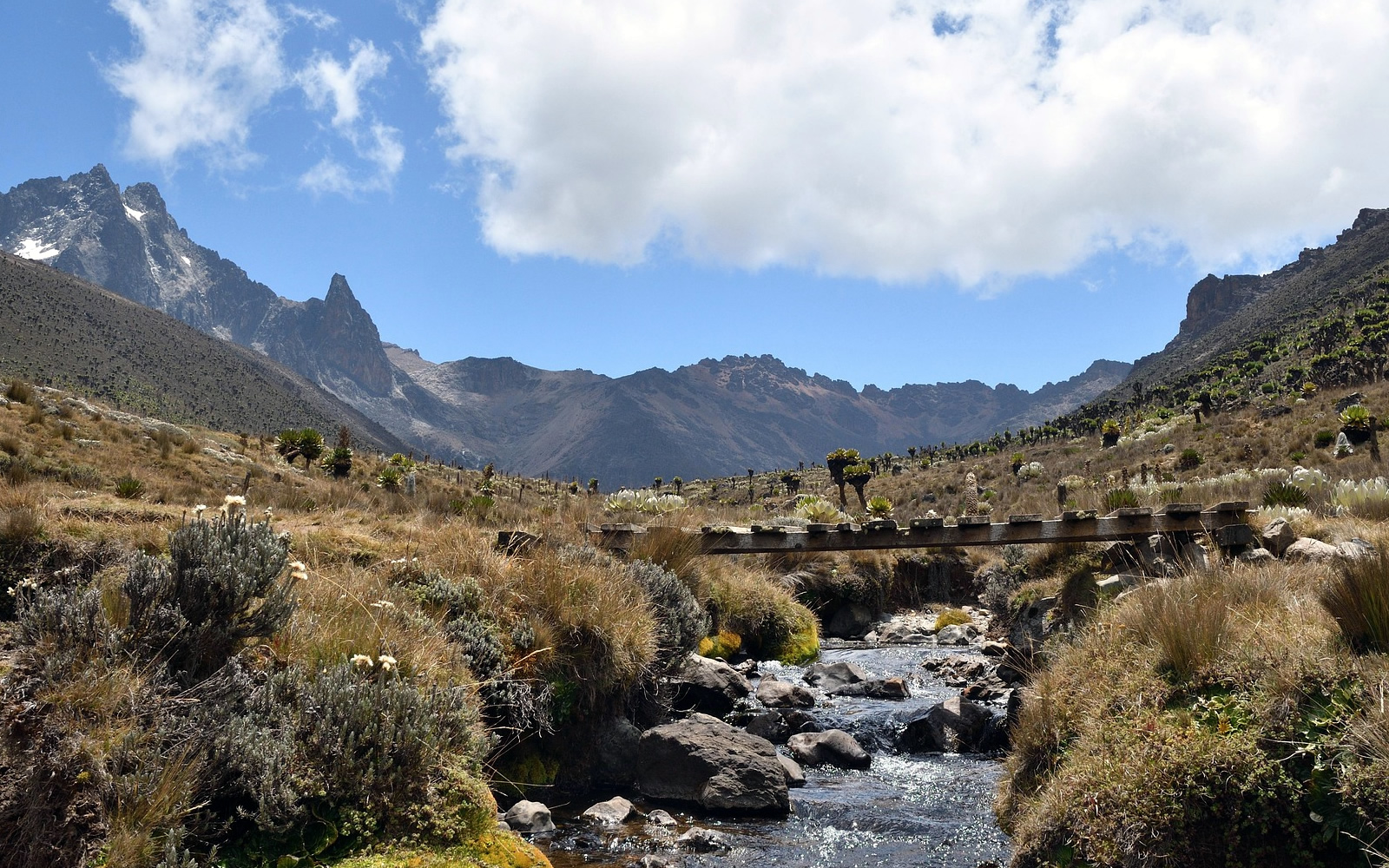 Trekking in Mount Kenya