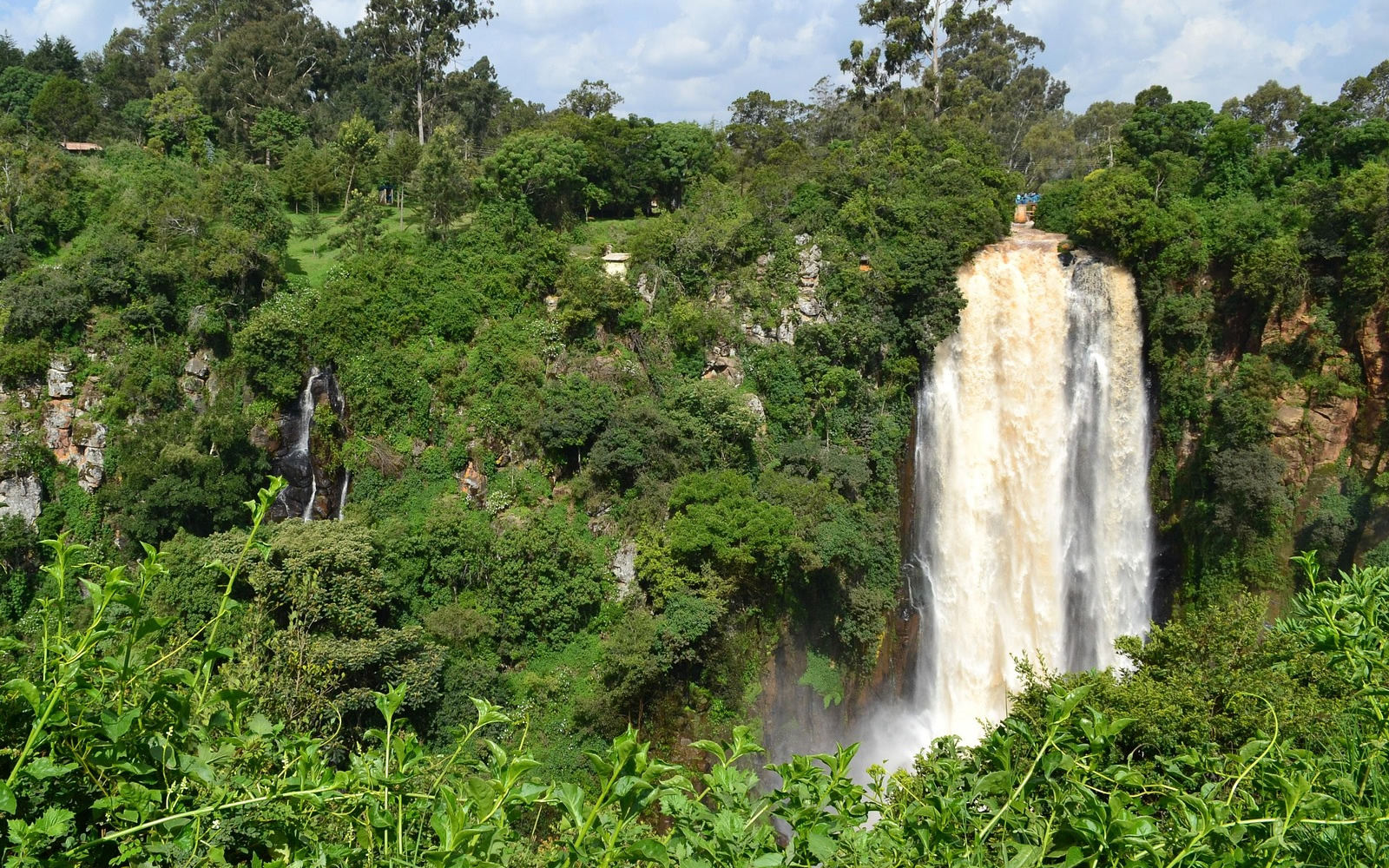 Waterfalls Tour and Safari in Aberdare National Park Kenya